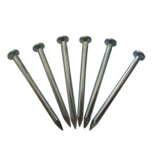 SS 304 stainless steel Nails round head iron nail